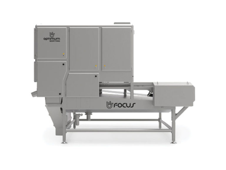 Focus Optical Sorter | New Zealand